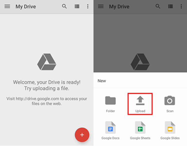 view android app data backup