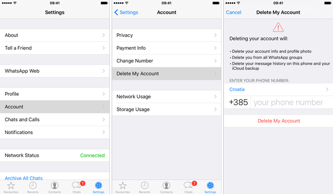 Delete WhatsApp Messages or Account