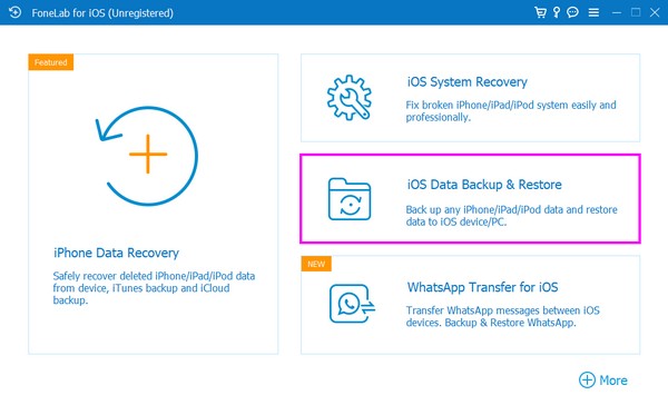 the iOS Data Backup & Restore