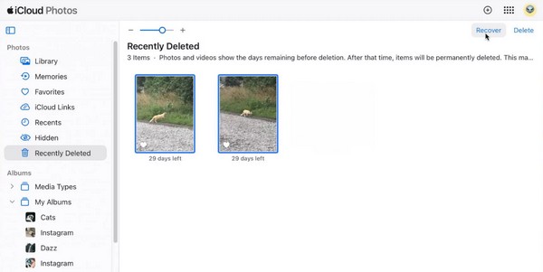 see deleted photos on icloud recently deleted
