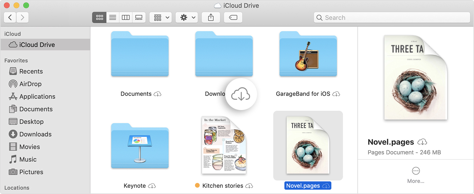 Icloud download