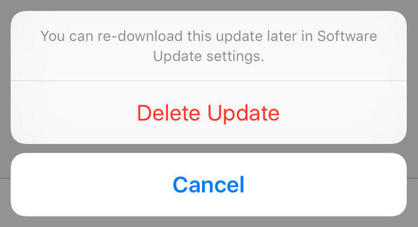 delete ipados update