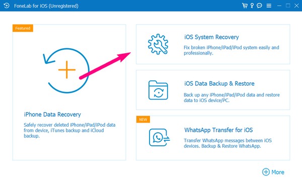 Pick the iOS System Recovery box