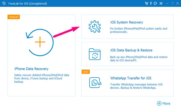 Direct to the iOS System Recovery box