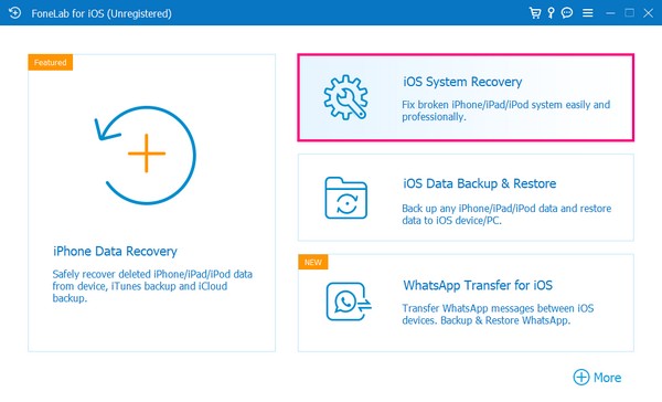 the iOS System Recovery function