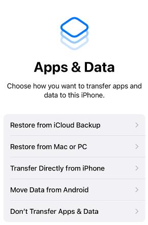 restore from icloud backup