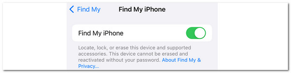 enable find my iphone