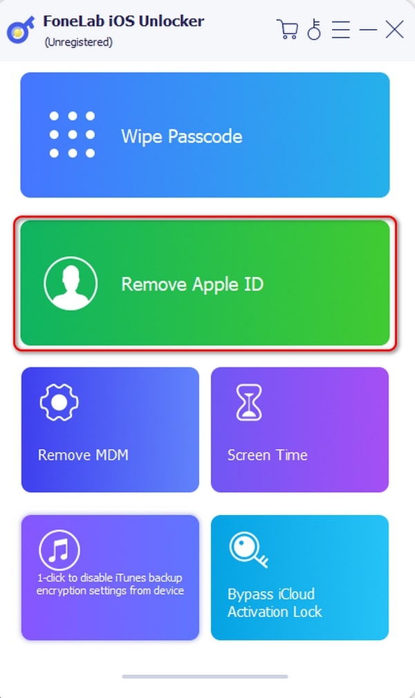 choose remove apple id feature