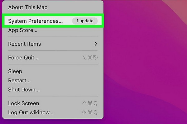 view system preferences