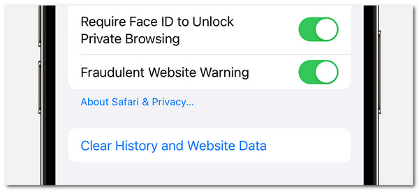 clear history and website data safari