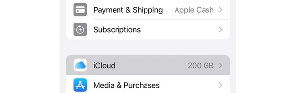 see icloud