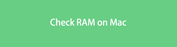 Check ram hot sale on mac