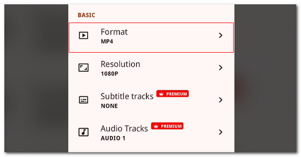 choose webm file format