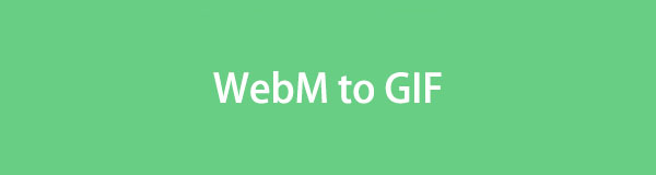 Top 4 Strategies to Convert WebM to GIF Conveniently