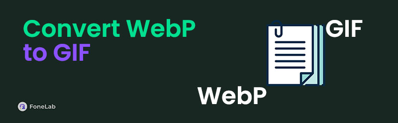 Efficient Ways to Convert WebP to GIF Conveniently